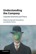 Understanding the Company edito da Cambridge University Press