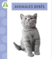 Animales Bebés di Anastasia Suen edito da Amicus Learning