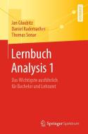 Lernbuch Analysis 1 di Jan Glaubitz, Daniel Rademacher, Thomas Sonar edito da Springer-Verlag GmbH
