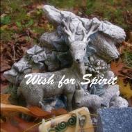 Wish for Spirit: visual poem di Sarah Muehlbauer edito da LIGHTNING SOURCE INC