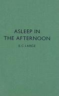 Asleep in the Afternoon di E. C. Large edito da Hyphen Press