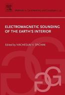 Electromagnetic Sounding of the Earth's Interior di Viacheslav V. Spichak edito da ELSEVIER SCIENCE & TECHNOLOGY