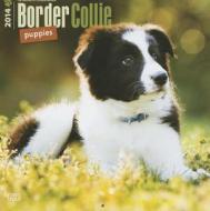 Border Collie Puppies Calendar edito da Browntrout Publishers