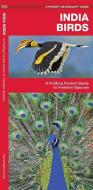 India Birds: A Folding Pocket Guide to Familiar Species di James Kavanagh edito da Waterford Press