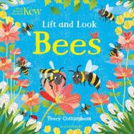 Kew: Lift And Look Bees edito da Bloomsbury Publishing Plc