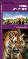 India Wildlife: A Folding Pocket Guide to Familiar Animals di James Kavanagh, Waterford Press edito da Waterford Press