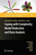 Coping with Complexity: Model Reduction and Data Analysis edito da Springer-Verlag GmbH