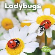 Ladybugs di Lisa J. Amstutz edito da CAPSTONE PR