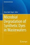 Microbial Degradation of Synthetic Dyes in Wastewaters edito da Springer-Verlag GmbH