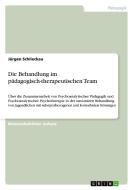 Die Behandlung im pädagogisch-therapeutischen Team di Jürgen Schlieckau edito da GRIN Publishing