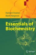 Essentials of Biochemistry di Herbert J. Fromm, Mark Hargrove edito da Springer Berlin Heidelberg