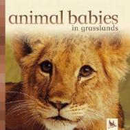Animal Babies in Grasslands edito da Kingfisher