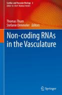Non-coding RNAs in the Vasculature edito da Springer-Verlag GmbH