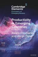 Productivity In Emerging Countries di Alvaro Escribano, Jorge Pena edito da Cambridge University Press