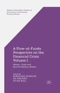 A Flow-of-Funds Perspective on the Financial Crisis Volume I edito da Palgrave Macmillan