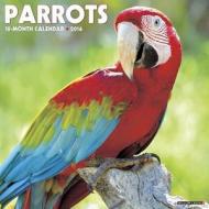 Parrots Calendar edito da Willow Creek Press