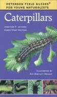 Caterpillars di Karen Stray Nolting, Jonathan Latimer edito da HOUGHTON MIFFLIN