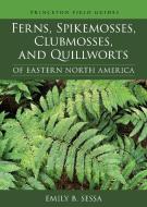 Ferns, Spikemosses, Clubmosses, And Quillworts Of Eastern North America di Emily B. Sessa edito da Princeton University Press