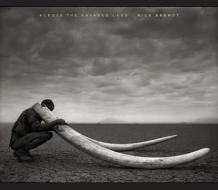 Across the Ravaged Land di Nick Brandt edito da Abrams