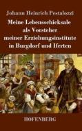 Meine Lebensschicksale als Vorsteher meiner Erziehungsinstitute in Burgdorf und Iferten di Johann Heinrich Pestalozzi edito da Henricus - Edition Deutsche Klassik GmbH, Berlin