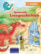 Spannende Lesegeschichten di Arne Hillienhof, Sabine Streufert edito da Schwager und Steinlein