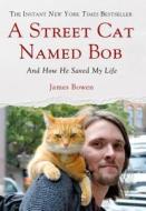 STREET CAT NAMED BOB di James Bowen edito da SMP Trade