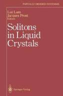 Solitons in Liquid Crystals edito da Springer New York