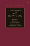 Punishment and Private Law edito da HART PUB