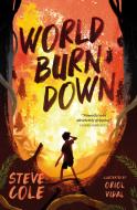 World Burn Down di Steve Cole edito da Barrington Stoke