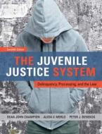 The Juvenile Justice System: Delinquency, Processing, and the Law Plus Mycrimekit -- Access Card Package di Dean J. Champion, Alida V. Merlo, Peter J. Benekos edito da Prentice Hall