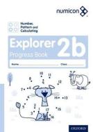 Numicon: Number, Pattern And Calculating 2 Explorer Progress Book B (pack Of 30) di Ruth Atkinson, Jayne Campling, Romey Tacon, Tony Wing edito da Oxford University Press