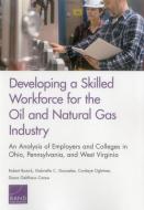 Developing a Skilled Workforce for the Oil and Natural Gas Industry: An Analysis of Employers and Colleges in Ohio, Penn di Robert Bozick, Gabriella C. Gonzalez, Cordaye Ogletree edito da RAND CORP