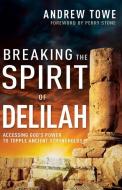 Breaking the Spirit of Delilah: Accessing God's Power to Topple Ancient Strongholds di Andrew Towe edito da WHITAKER HOUSE