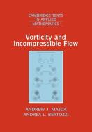Vorticity and Incompressible Flow di Andrew J. Majda, Andrea L. Bertozzi edito da Cambridge University Press