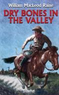 Dry Bones in the Valley di William Macleod Raine edito da Wildside Press