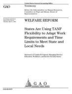 Welfare Reform: States Are Using Tanf Flexibility to Adapt Work Requirements and Time Limits to Meet State and Local Needs di United States Government Account Office edito da Createspace Independent Publishing Platform