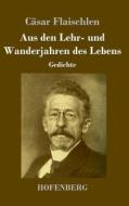 Aus den Lehr- und Wanderjahren des Lebens di Cäsar Flaischlen edito da Henricus - Edition Deutsche Klassik GmbH, Berlin