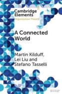 A Connected World di Martin Kilduff, Lei Liu, Stefano Tasselli edito da Cambridge University Press