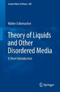 Theory of Liquids and Other Disordered Media di Walter Schirmacher edito da Springer-Verlag GmbH