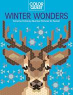 Color Quest: Winter Wonderland di Daniela Geremia edito da BES PUB