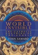 World Invisible di John Saward edito da Angelico Press