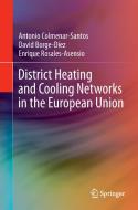 District Heating and Cooling Networks in the European Union di Antonio Colmenar-Santos, David Borge-Díez, Enrique Rosales-Asensio edito da Springer-Verlag GmbH
