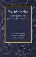 Young Offenders di A. M. Carr-Saunders, Hermann Mannheim, E. C. Rhodes edito da Cambridge University Press