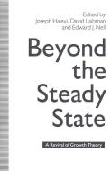 Beyond the Steady State di Joseph Halevi edito da Palgrave Macmillan