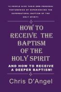 HT RECEIVE THE BAPTISM OF THE di Chris D'Angel edito da XULON PR