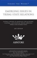 Emerging Issues in Tribal-State Relations: Leading Lawyers on Analyzing the Economic, Cultural, and Political Trends Affecting Tribal-State Interactio edito da Aspatore Books