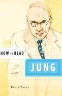 How to Read Jung di David Tacey edito da W W NORTON & CO