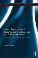 Human Rights, Natural Resource and Investment Law in a Globalised World di Lorenzo (International Institute for Environment and Development (IIED) Cotula edito da Taylor & Francis Ltd