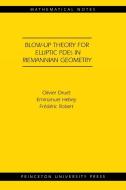 Blow-up Theory for Elliptic PDEs in Riemannian Geometry (MN-45) di Olivier Druet, Emmanuel Hebey, Frédéric Robert edito da Princeton University Press