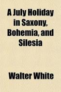 A July Holiday In Saxony, Bohemia, And Silesia di Walter White edito da General Books Llc